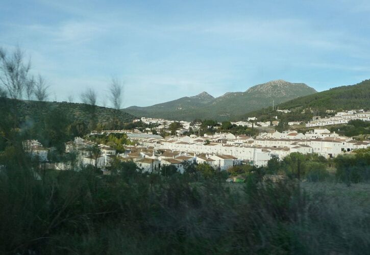 Qué hacer y qué ver en El Bosque