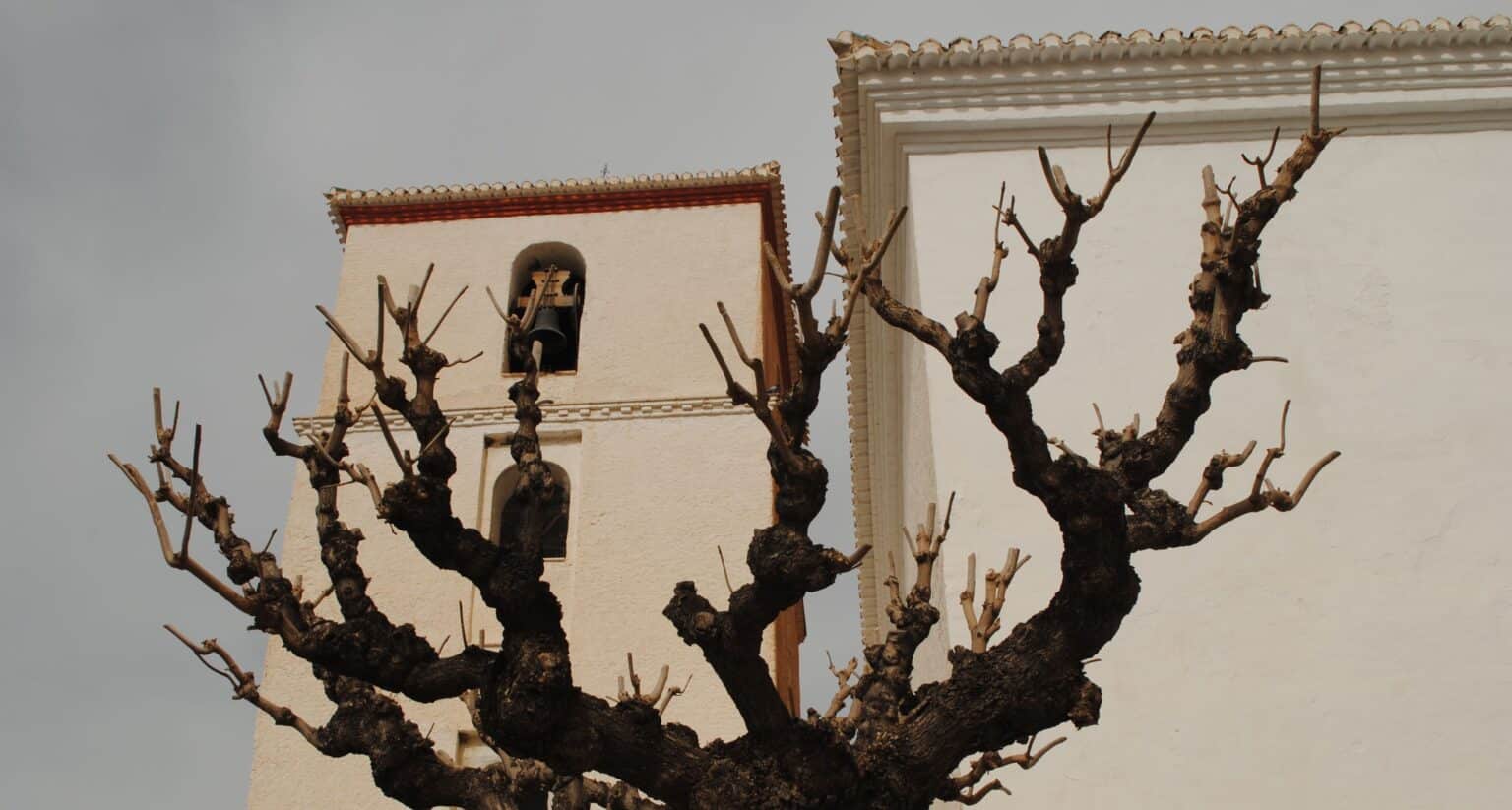 Torre de la Iglesia de Bubión con un árbol enfrente