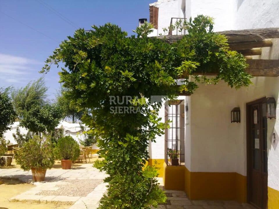 Hotel Rural de estilo rústico en el centro de Andalucía - Imagen 47