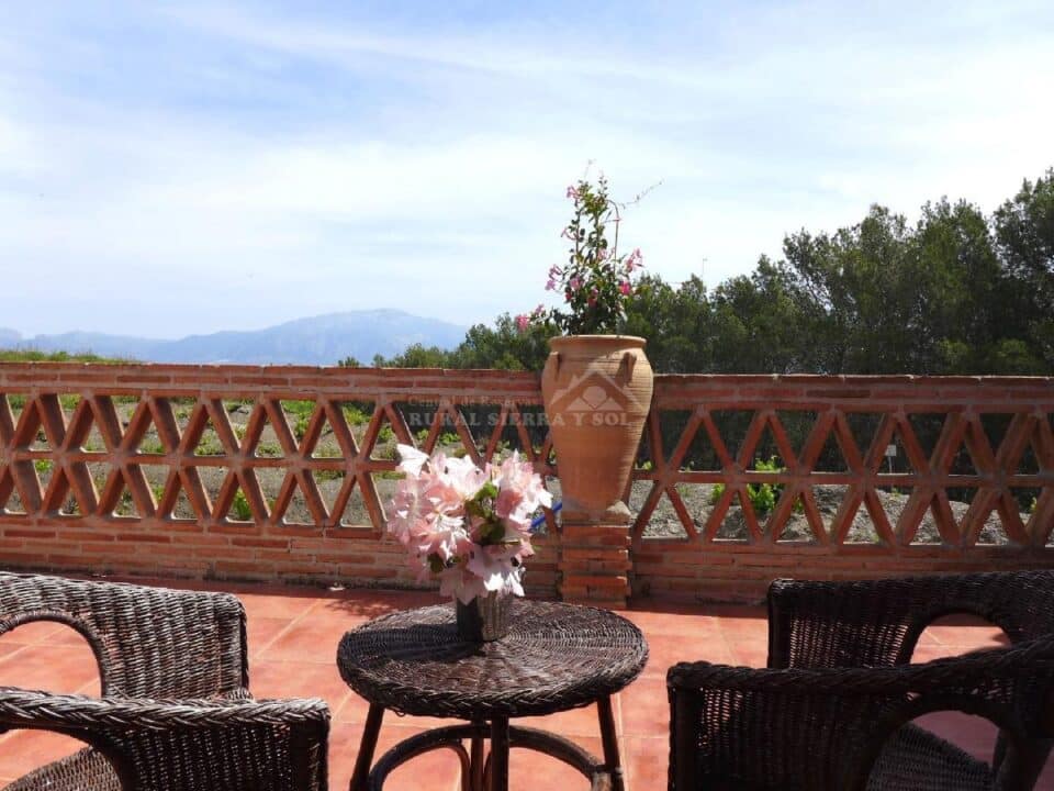 Terraza con vistas de Casa rural en Almáchar (Málaga)-1491