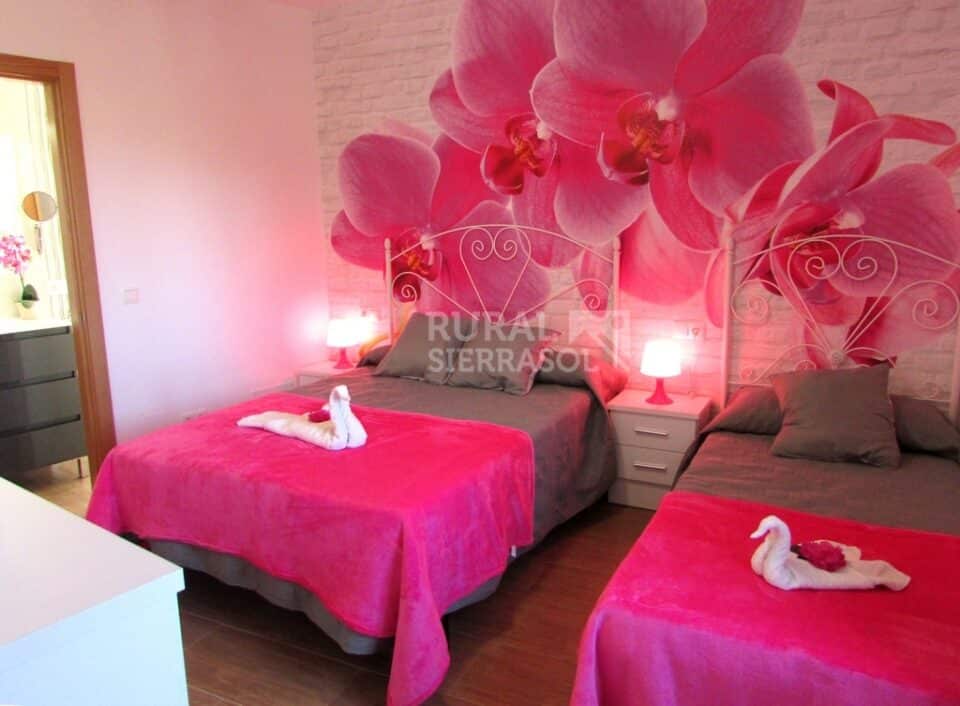 Preciosa Casa Rural con una esmerada decoración, en Sayalonga - Imagen 19