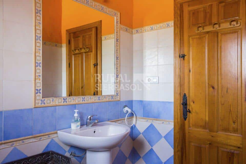 Lavabo en baño de Casa rural en Almáchar (Málaga)-1191