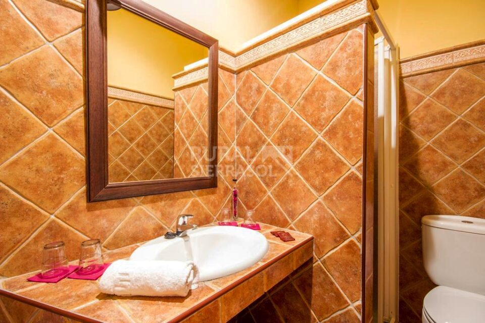 Baño de Hotel rural en Alcaucín (Málaga)-3415