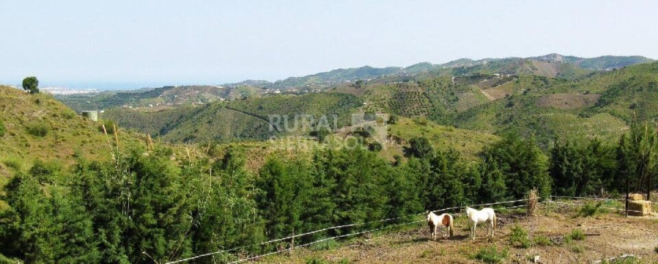 Bonita Casa Rural en Almáchar con piscina, barbacoa y wi-fi - Imagen 72