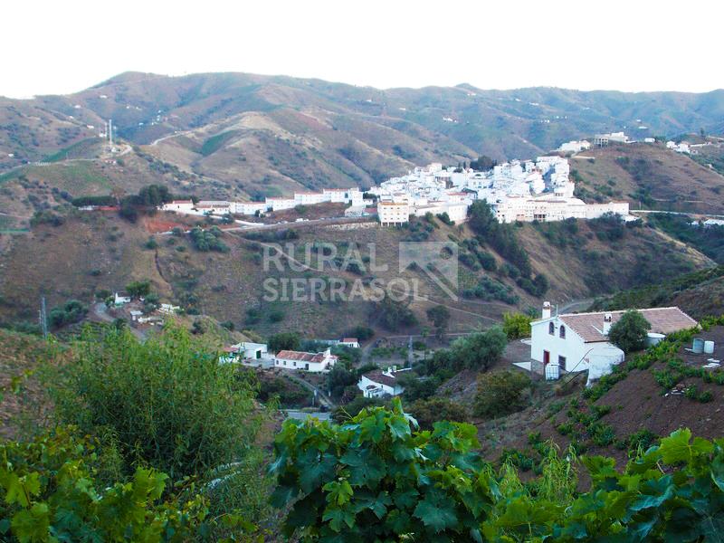 Vistas desde Casa rural en Almáchar (Málaga)-0566