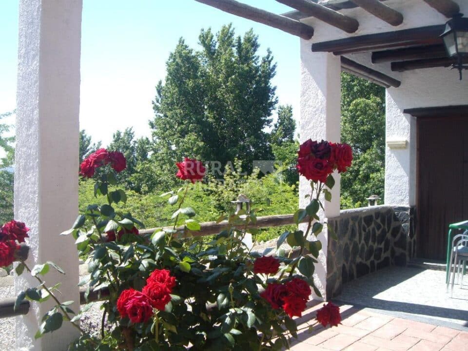Acogedora Suite con Jacuzzi y Spa en Bérchules - Imagen 5