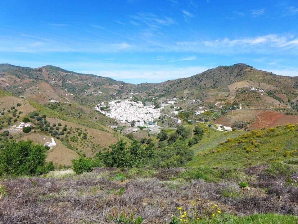 Entorno de Casa rural en Almáchar (Málaga)-0805