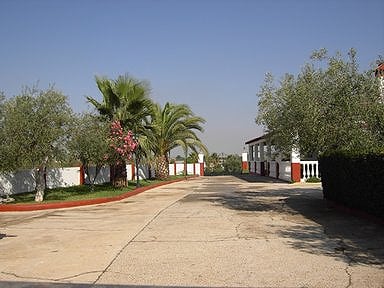 Casas rurales en Aznalcázar (Localidad)