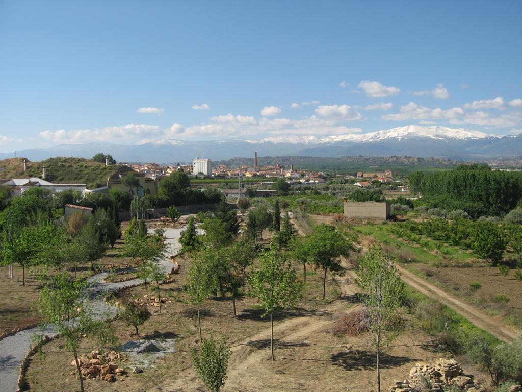 Casas rurales en Benalua (Localidad)