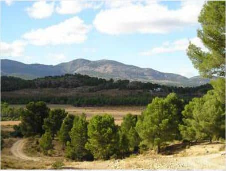 Casas rurales en Braojos (Localidad)