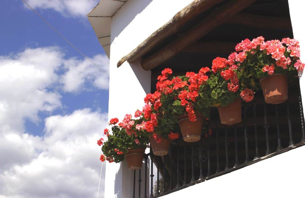 Casas rurales en Capileira (Localidad)