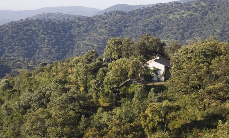 Casas rurales en Cazalla de la Sierra (Localidad)