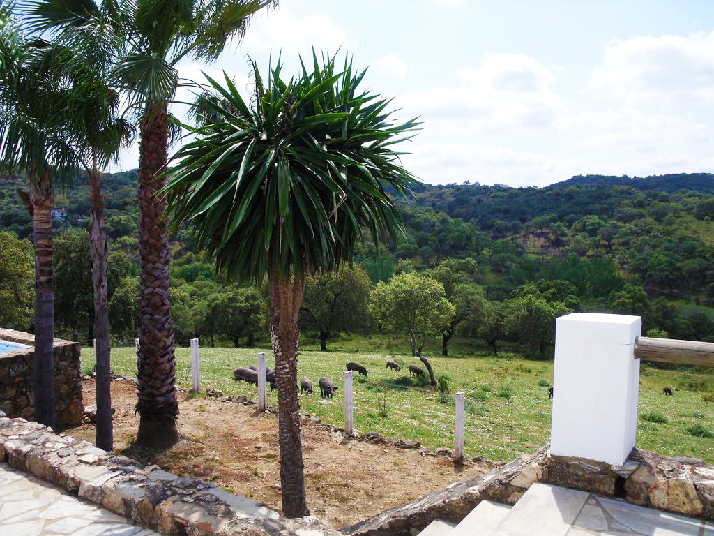 Casas rurales en Cortegana