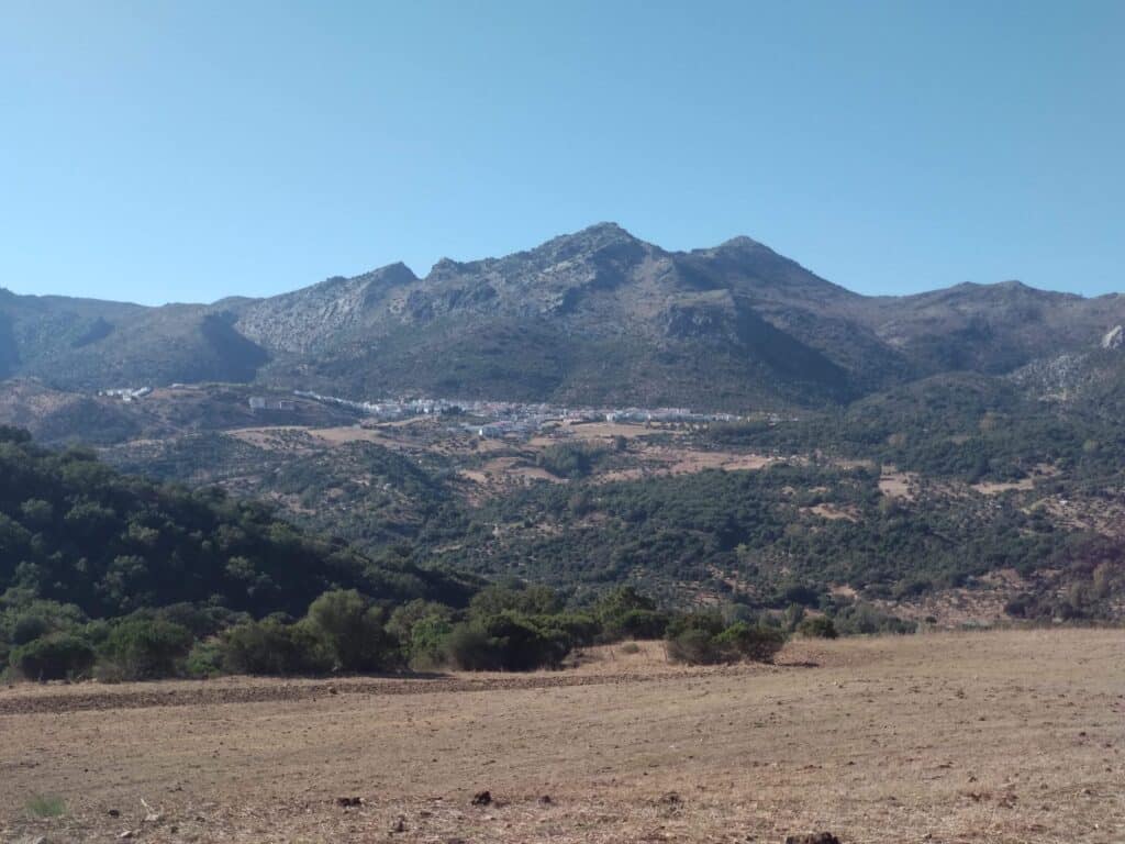Casas rurales en Cortes de la Frontera (Localidad)