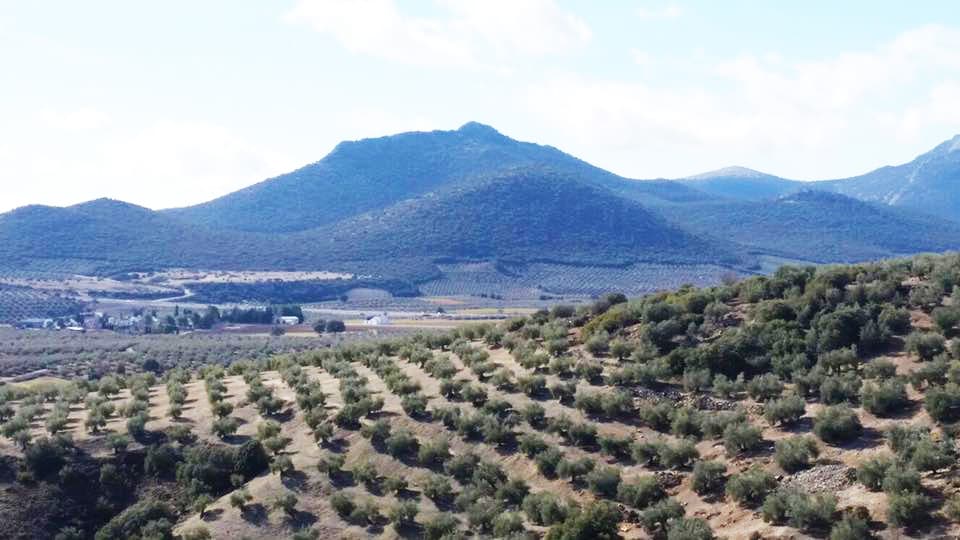 Casas rurales en Dehesas Viejas (Localidad)