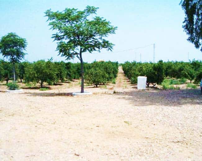 Casas rurales en La Fuencubierta (Localidad)