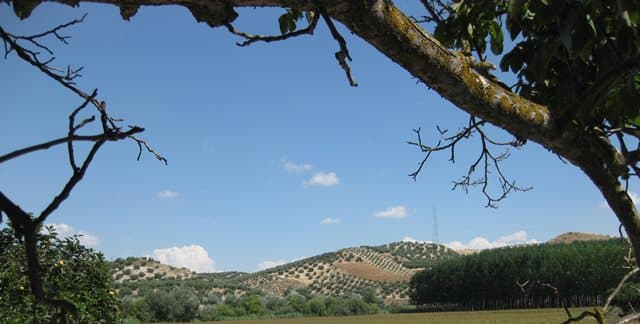 Casas rurales en Huétor Tájar (Localidad)