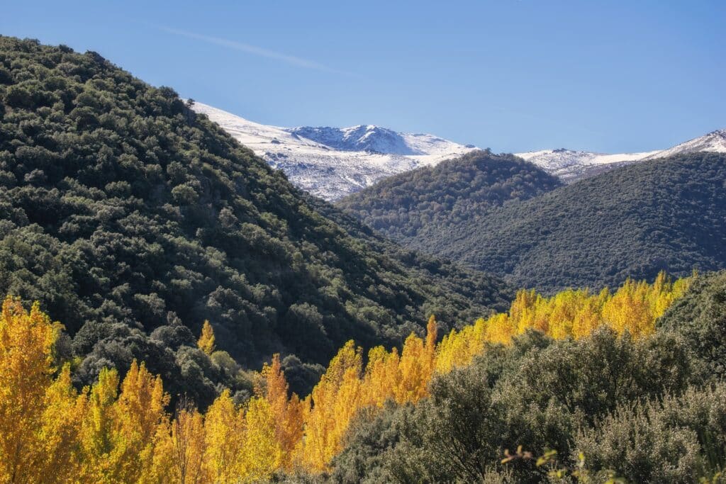 Casas rurales en La Zubia (Localidad)