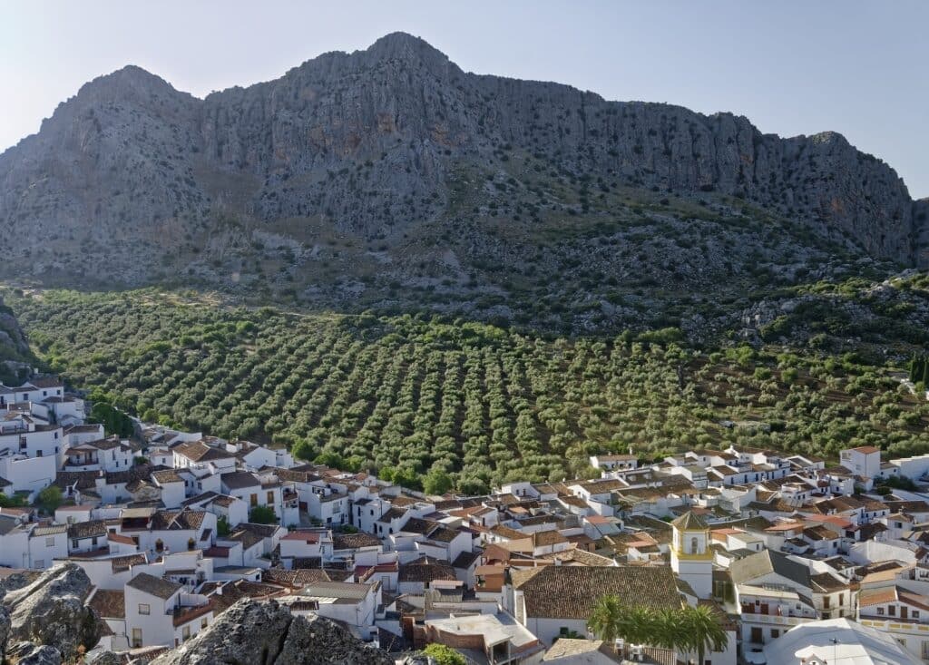 Casas rurales en Montejaque (Localidad)