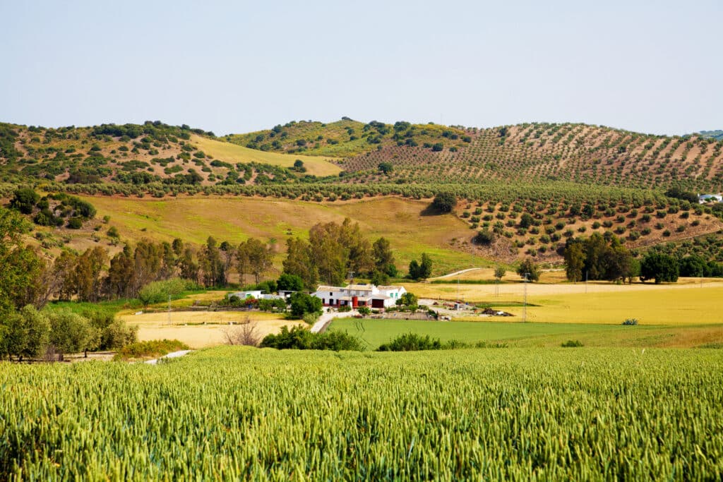 Casas rurales en Pruna (Localidad)