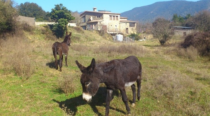 Casas rurales en Sant Martí de Llémena (Localidad)