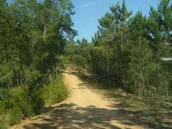 Casas rurales en Valdelarco (Localidad)