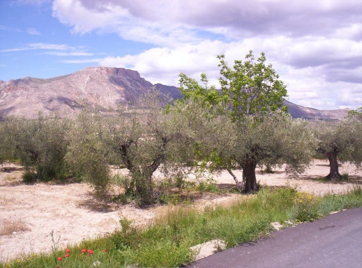 Casas rurales en Vélez-Blanco (Localidad)