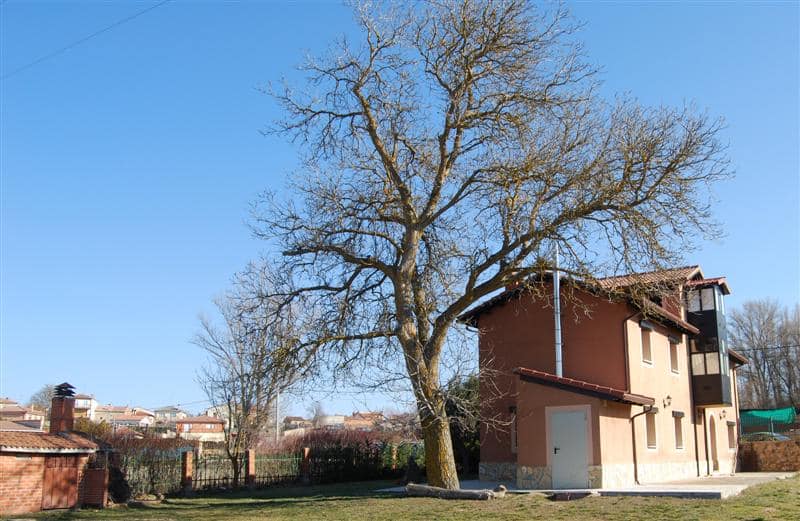 Casas rurales en Villanueva de Gumiel (Localidad)