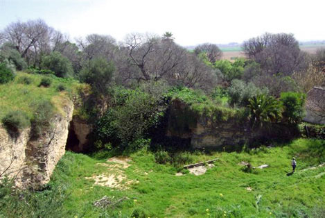 Casas rurales en Villarrubia (Barriada)