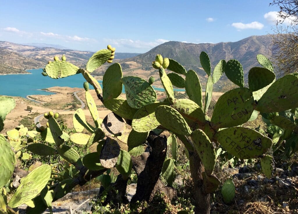 Casas rurales en Zahara de la Sierra (Localidad)