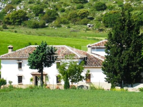 Exteriores de Casa rural en Alfarnate (Málaga)-3954