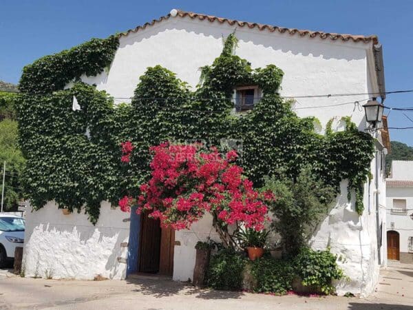 Casa rural en Benarrabá (Málaga)-254