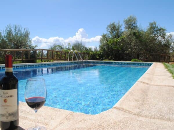 Piscina con vino de casa rural en Periana (referencia 1003)