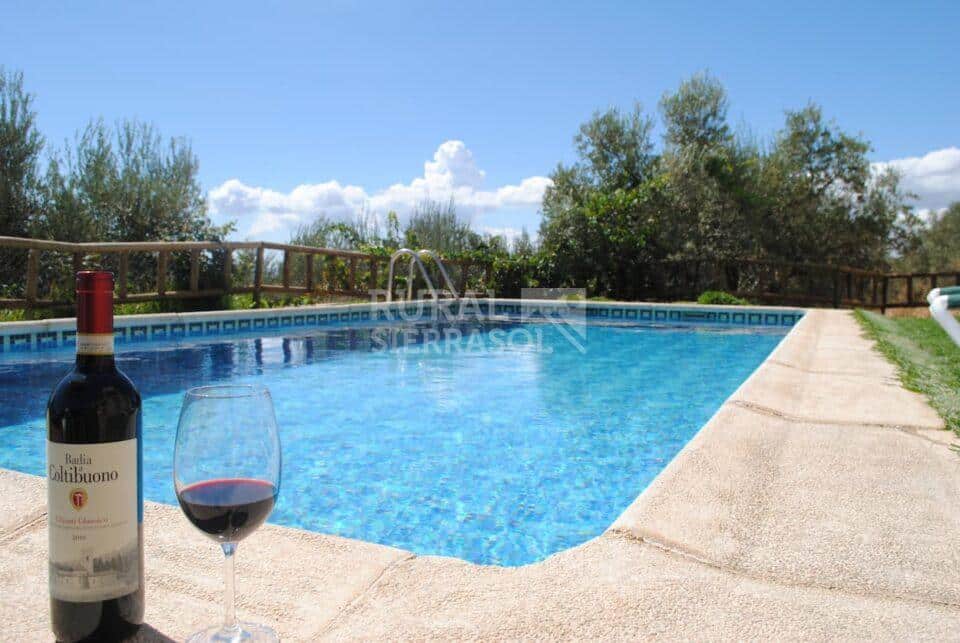 Piscina con vino de casa rural en Periana (referencia 1003)