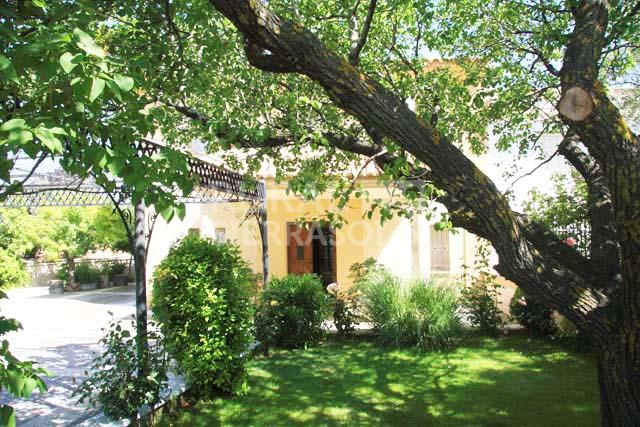 1. Casa rural en Caniles (Granada)-905
