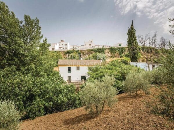 Entorno de Casa rural en Cuevas del Becerro (Málaga)-1091