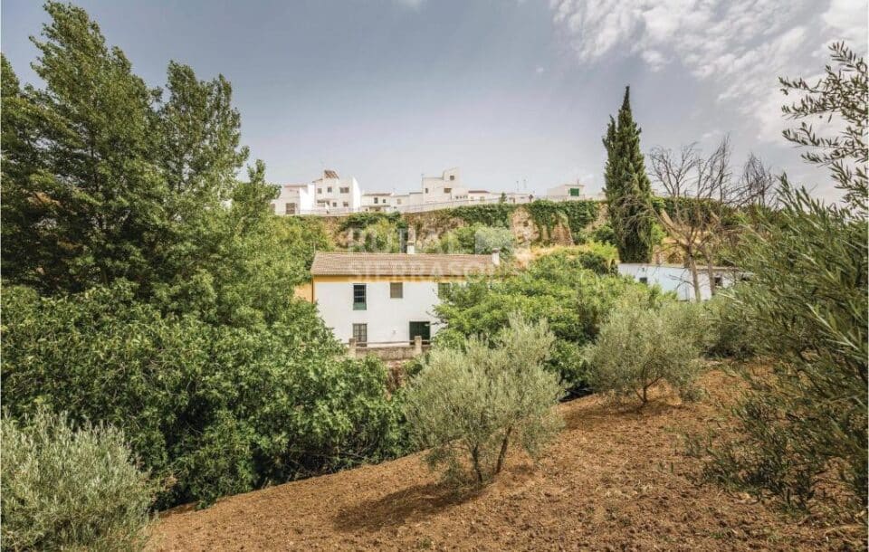 Entorno de Casa rural en Cuevas del Becerro (Málaga)-1091