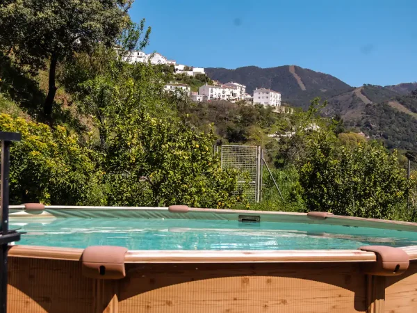 Piscina de Casa rural en Jubrique (Málaga)-3337