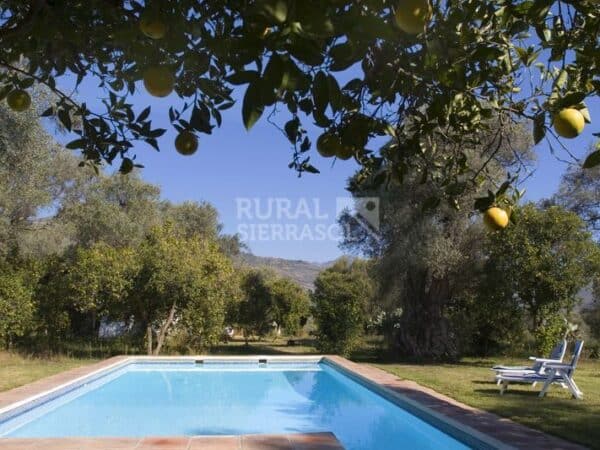 1. Casa rural en Órgiva (Granada)-426