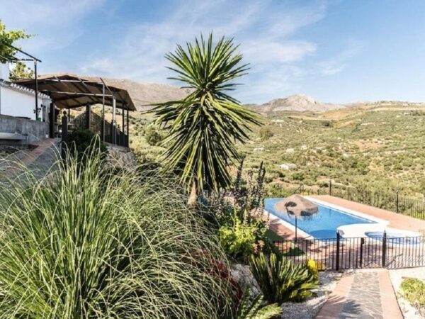 Piscina y jardín de Casa rural en Periana (Málaga)-3307