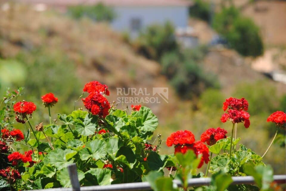 Preciosa Villa en Almogía con piscina y barbacoa - Imagen 9