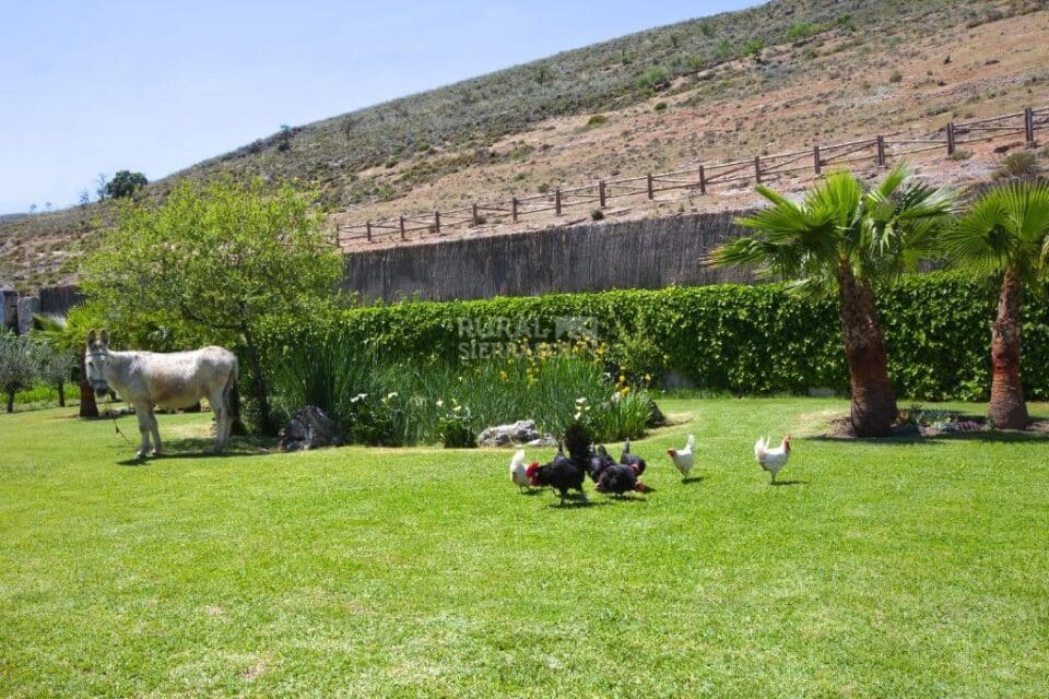 Acogedor Conjunto Rural en Padul, con piscina y barbacoa - Imagen 101