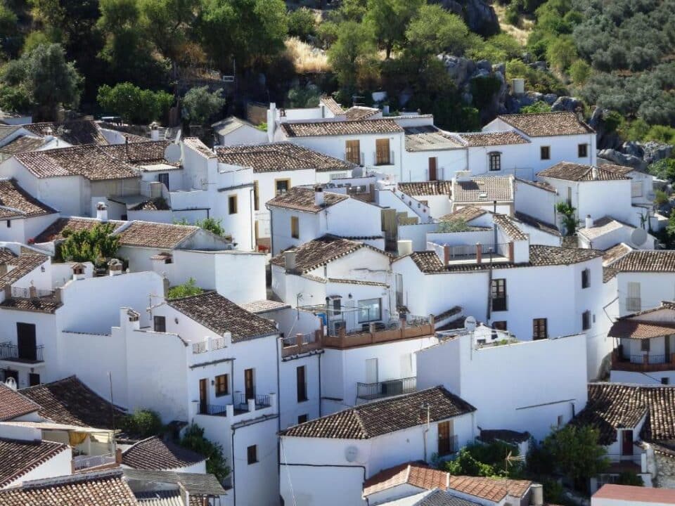 Acogedor Hostal Rural junto al Parque Natural de la Sierra de Grazalema - Imagen 32