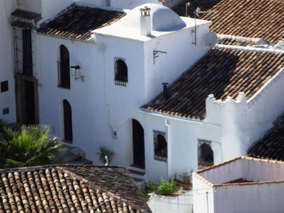 Acogedor Hostal Rural junto al Parque Natural de la Sierra de Grazalema - Imagen 33