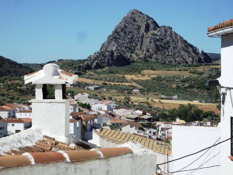 Acogedor Hostal Rural junto al Parque Natural de la Sierra de Grazalema - Imagen 34