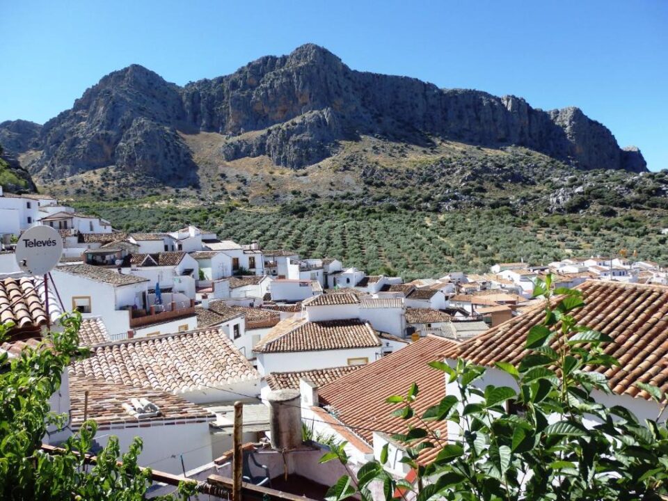 Acogedor Hostal Rural junto al Parque Natural de la Sierra de Grazalema - Imagen 35