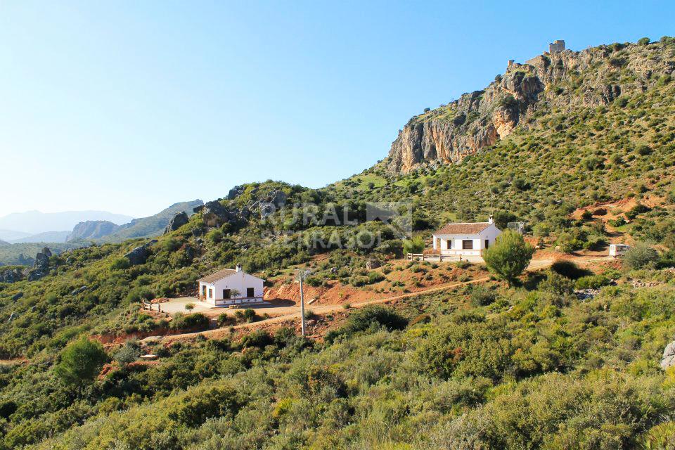 Paisaje con vegetación de Casa rural en Ardales (Málaga)-1033