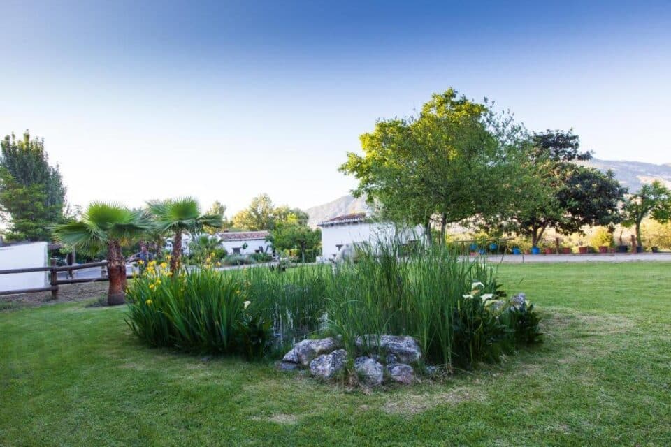 Acogedor Conjunto Rural en Padul, con piscina y barbacoa - Imagen 105