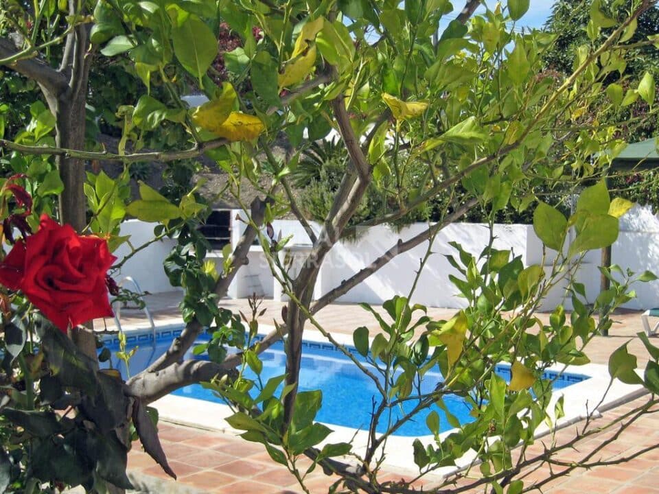 Magnífica Villa en Frigiliana, con piscina y wifi - Imagen 7