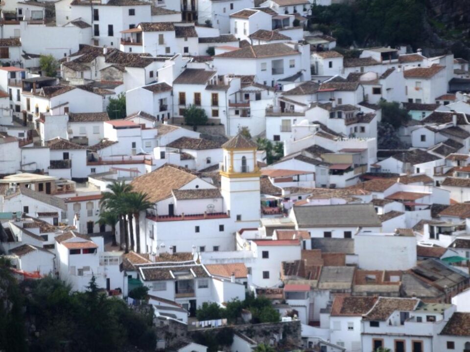 Acogedor Hostal Rural junto al Parque Natural de la Sierra de Grazalema - Imagen 40